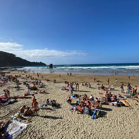 Prime Loft Asturias Vut-436-as *